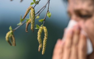 Правда и мифы о сезонной аллергии