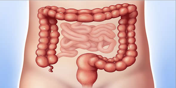 Лечение колита кишечника в Москве в клинике Санмедэксперт
