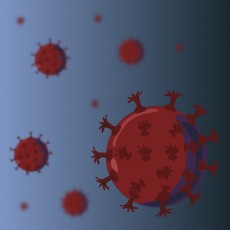 Сдать анализ на Т-клеточный иммунитет к COVID-19